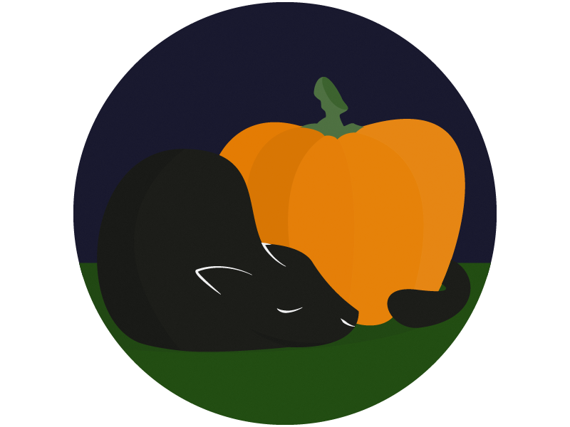 Pumpkin Cat sleep illustrator illustration vector simple night fall october sticker mule halloween pumpkin cat