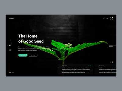 Cannabis Shop Intro cannabis daily design desktop intro webdesign weed