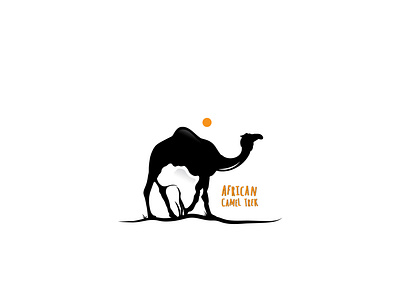 African camel trek