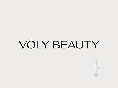 Logo Volybeauty