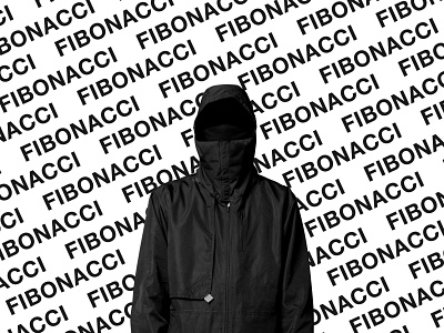 FIBONACCI streetwear - brand identity brandidentity branding clothes clothing design fashion streetstyle streetwear type