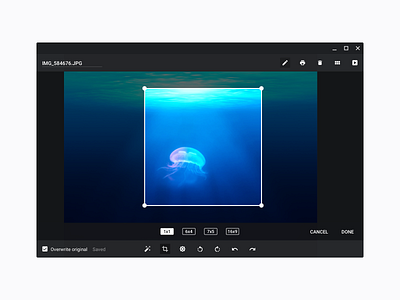 Chrome OS Gallery app app photography chrome chrome os desktop gallery image ui