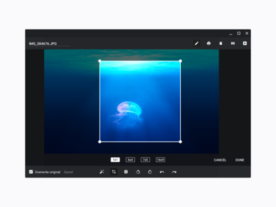 Chrome OS Gallery app app photography chrome chrome os desktop gallery image ui