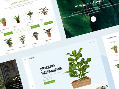 [Plants] Ocolus Creative Modern Multipurpose Template decor ecommerce fashion furniture market multipurpose ocolus plant wordpress