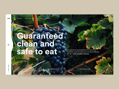 The Huxton Hero Concept ecommerce ecommerce design food healthy hero section minimal typography ui ui ux ui design uiux vegetable vegetables wordpress