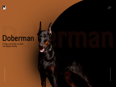 Doberman website illustration interaction design typography ui web web design