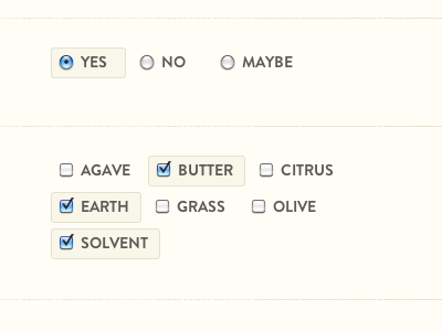 Radio & Checkbox selected states checkbox form radio button