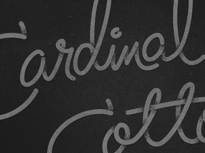 Cardinal Cotton Script cardinal cotton handdrawn tshirt vintage