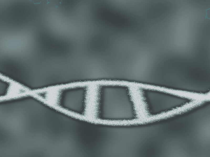 DNA With Base Pairings