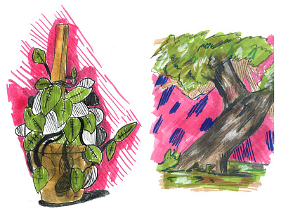 Plant Life at lunch life outdoors plants sketches