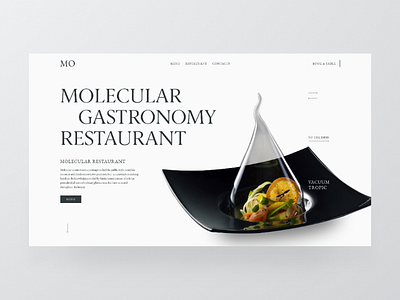 Molecular Restaurant expensive food light minimal plate restaurant typography