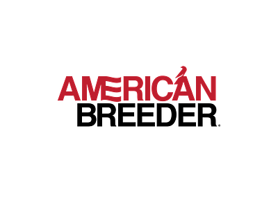 American Breeder | Magazine american bird brand branding breeder logo logo design logos logotype