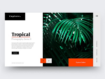 Capture. clean editorial grid minimal modern photography portfolio typography ui ux webdesign website