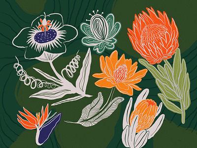 Wild flowers digitalillustration illustration procreate