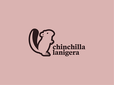 Chinchilla Logo Mark andes mountains chile chinchilla logo design logo mark long tailed chinchilla mark