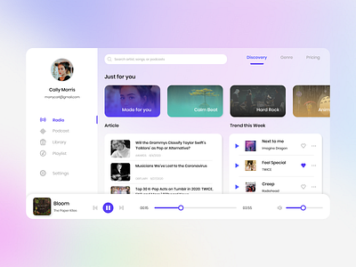 Music Web Player Exploration