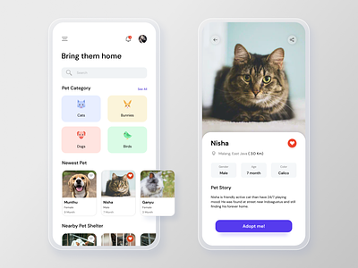 Pet Adoption App clean design mobile modern ui ux