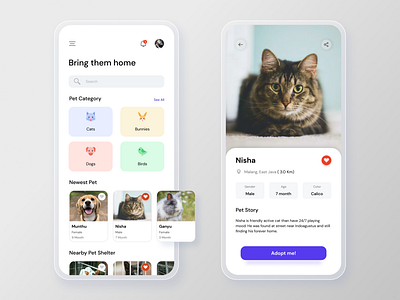 Pet Adoption App