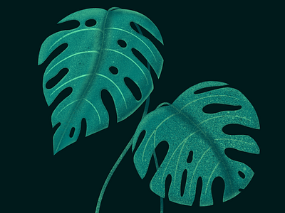 Plantclub green illustration plant plantclub procreate
