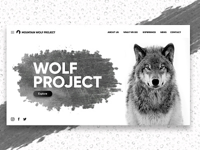 Wolf Website For Dribble black and white branding web design website banner