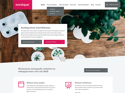 Nordique design dutch groningen internet webdesign webdevelopment website wordpress