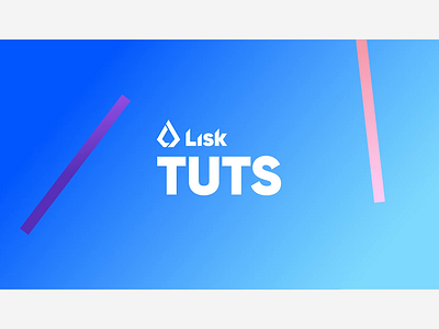 Lisk Hub Tutorial Intro animation design ui