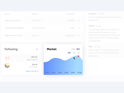 Lisk Hub Tutorial animation design ui