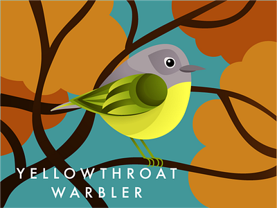 Yellowthroat Warbler Illustration bird design fall illustration illustrator