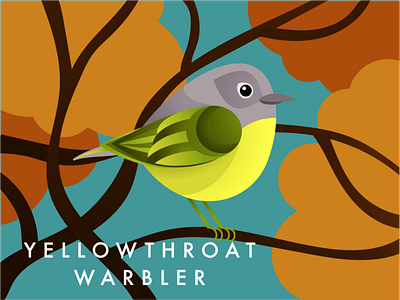 Yellowthroat Warbler Illustration