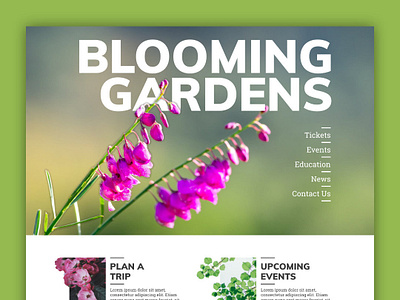 Landing Page ~ Botanical Garden 🌼🌻🌷 botanical flower garden landing page web design
