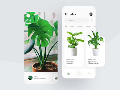 Plant Identifier App app cards ui greenery hobby identifi indoor iphone 11 pro mobile ui monstera nature plant plants pot scan scanner search bar slider ui vegetation white