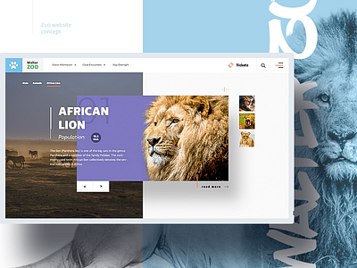 Zoo website comcept