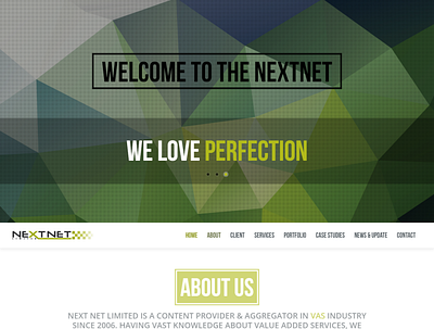Website Design art direction branding design flat graphic design ineraction design ui ux vector web