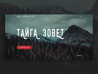 Main Screen Taiga ui ux web design