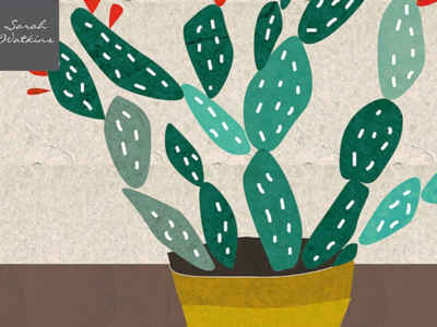 Home cacti 🌵 childrens illustrator designer for hire surface pattern designer