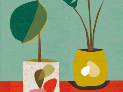 House plants 🌱 greetings card design plant illustration surface pattern designer yorkshire artist