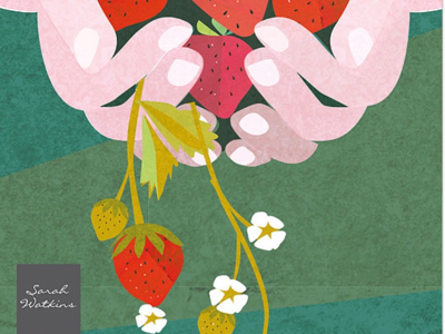 Strawberry harvest illustrations for cards sarah watkins designer