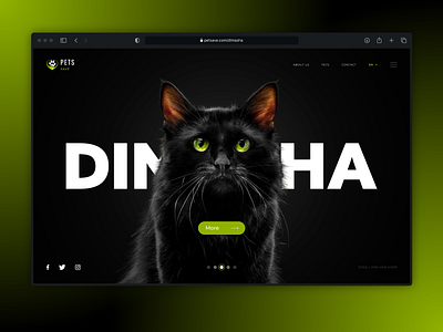 UI Concept | Petsave black concept creative design green site ui uiux ux webdesign