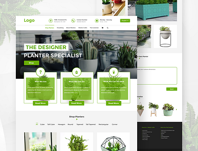 Plant Shop Landing Page Website Design app creative design illustration landing page landing page design plant shop ui ui ux ui design ux ux design web design website website concept website design