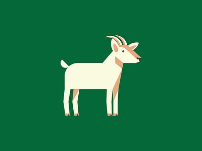 Goat goat