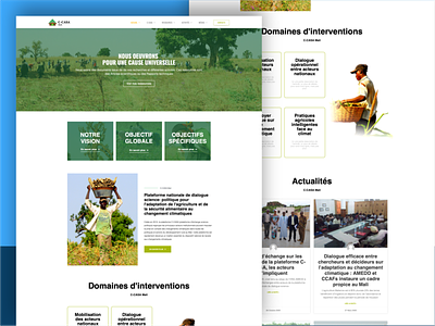 C-CASA MALI – SITE WEB ET RÉSEAUX SOCIEUX branding elementor nonprofit organization personal brand site web uidesign webdesign wordpress xd design