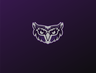 Simple Owl Mascot branding design flat graphic identity illustration illustratorcc logo mascot mascotlogo owl owl logo