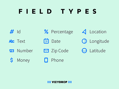 Field type icons in Vizydrop