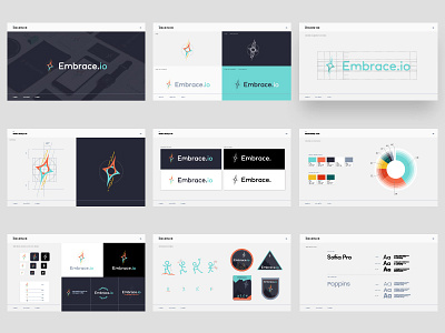 Embrace.io Style Guide app aqua badge branding data design logo marketing orange style guide