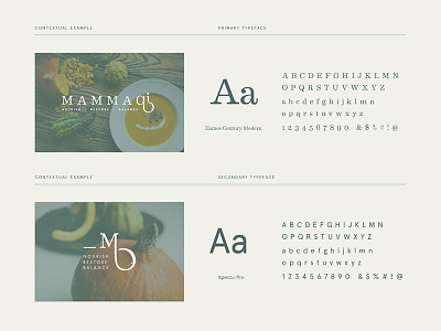Mamma Qi typography balance branding chinese herbs food delivery green logo nourish restore style guide typography