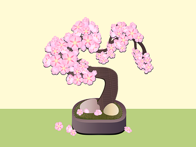 Bonsai Tree