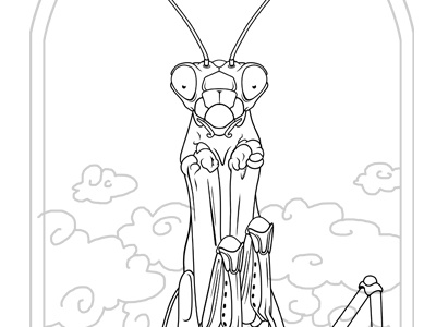 mantis religiosa clouds door gottesanbeterin heaven illustration mantis religiosa sketch wip
