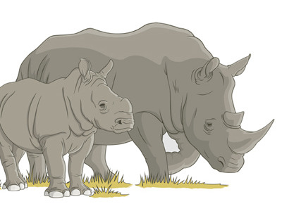zoo project 01 animal baby character illustration rhino rhinoceros vector zoo