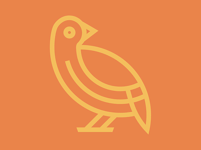 Bird Logo Concept bird icon logo