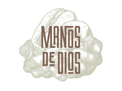 Manos de Dios Logo coffee coffee bean hands illustration logo logo design vintage woodcut